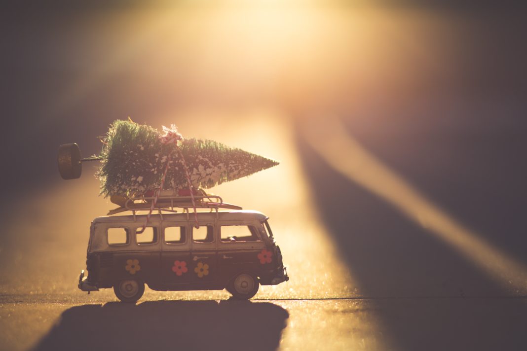 Christmas 2019: White or Green?