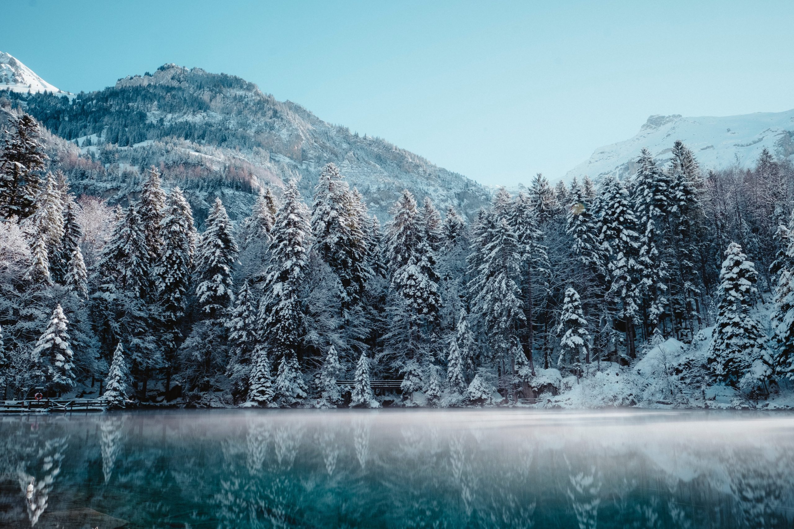 Winter 2023/24 Thoughts
