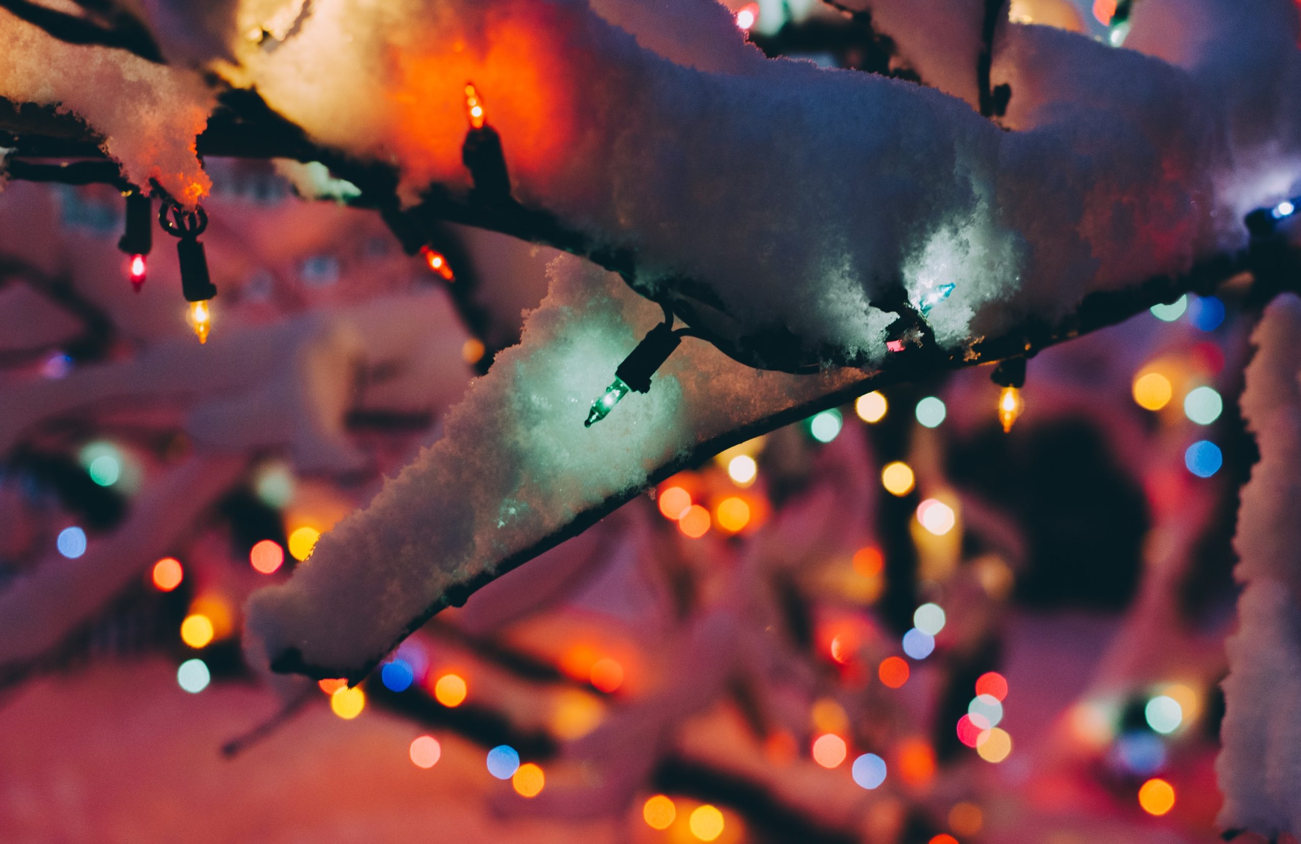 WHITE Christmas??